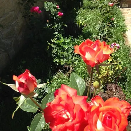 Zapovedni Rai بريمورسكو