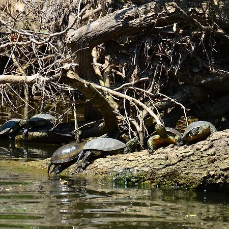 Zapovedni Rai Gasthof Primorsko