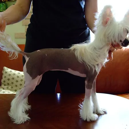 Gasthof Zapovedni Rai Primorsko