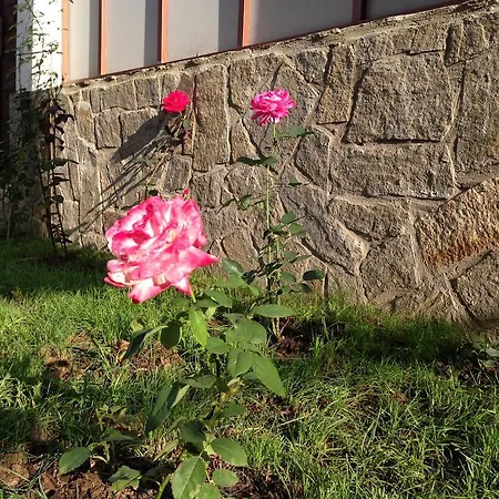 Gasthof Zapovedni Rai