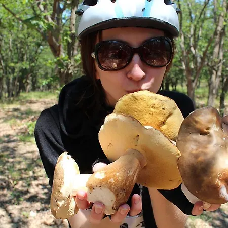 Zapovedni Rai بريمورسكو