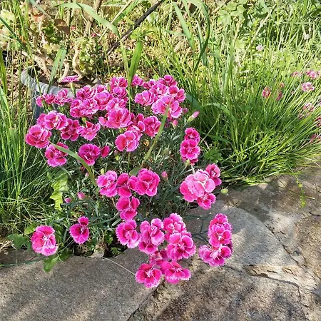 Zapovedni Rai بريمورسكو