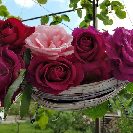 Zapovedni Rai بيت ضيافة بريمورسكو