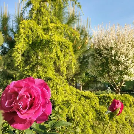 Gasthof Zapovedni Rai Primorsko