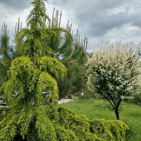 Zapovedni Rai بيت ضيافة 4*