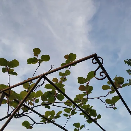 بيت ضيافة Zapovedni Rai بريمورسكو