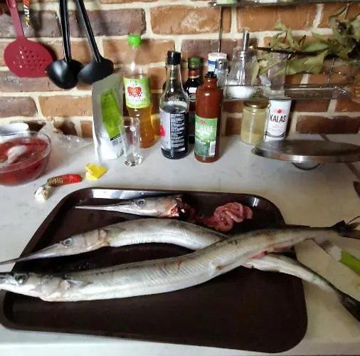 Konukevi Zapovedni Rai