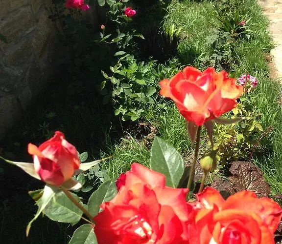 Zapovedni Rai 普里莫尔斯科