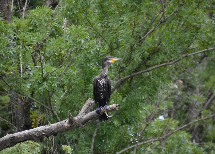Konukevi Zapovedni Rai Primorsko