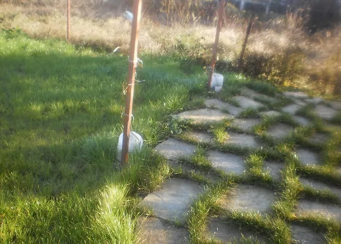 Zapovedni Rai 招待所 4*