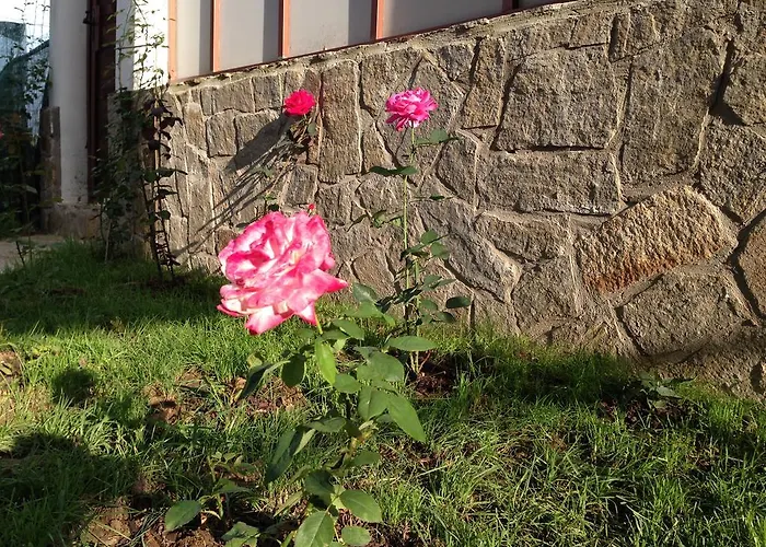 招待所 Zapovedni Rai