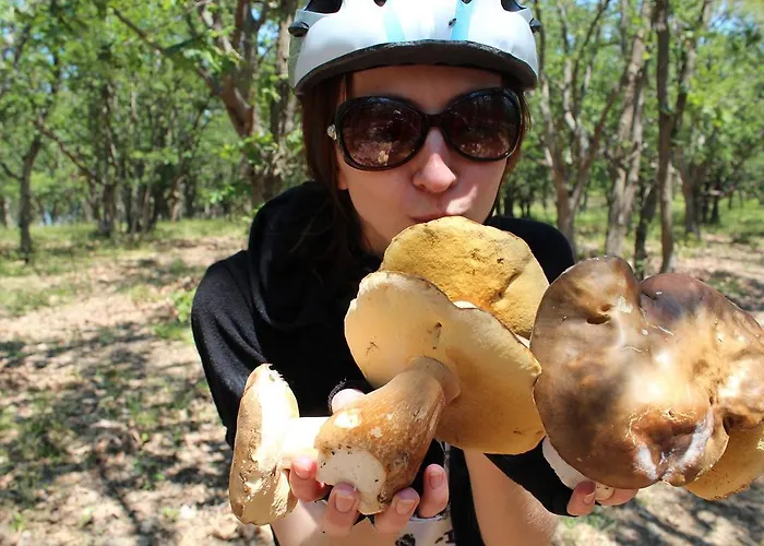 Zapovedni Rai 普里莫尔斯科