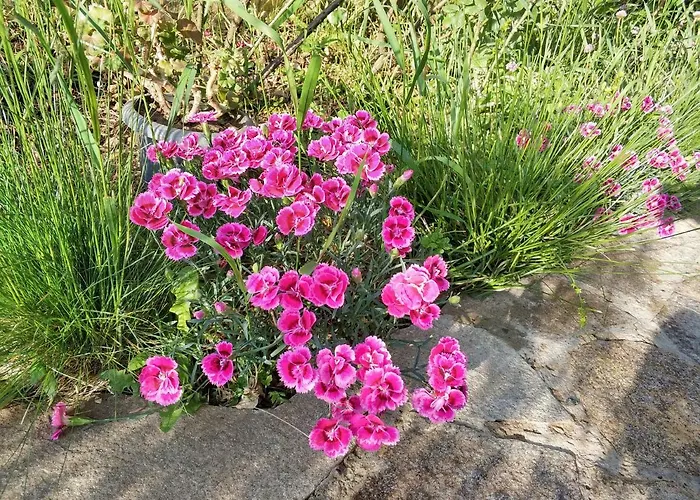 Zapovedni Rai 普里莫尔斯科