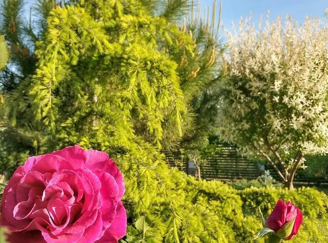 招待所 Zapovedni Rai 普里莫尔斯科