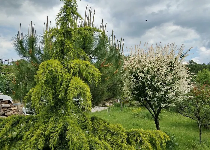 Zapovedni Rai Konukevi 4*