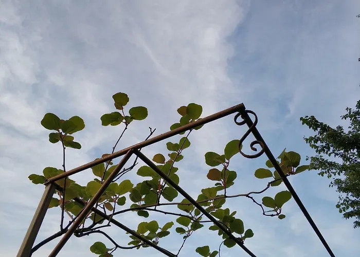 Konukevi Zapovedni Rai Primorsko