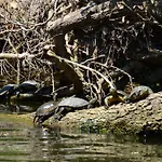 Zapovedni Rai 招待所 普里莫尔斯科