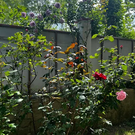 Zapovedni Rai Guest house Primorsko