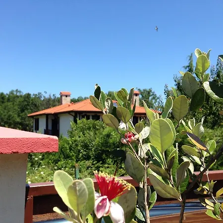 Zapovedni Rai