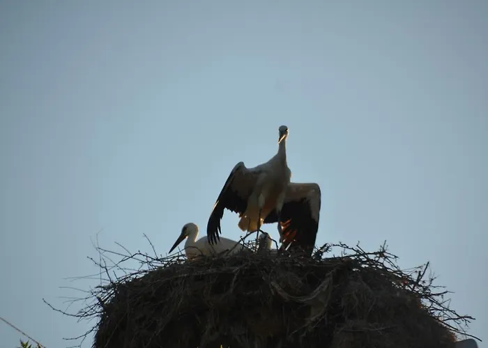 Къща за гости заповедни рай 4*