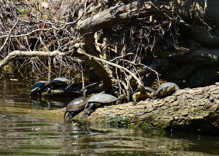 заповедни рай Къща за гости Приморско
