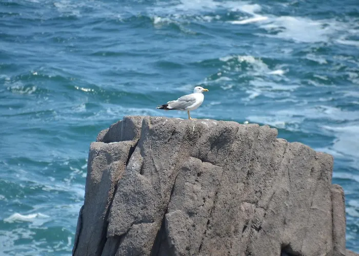 Къща за гости заповедни рай Приморско